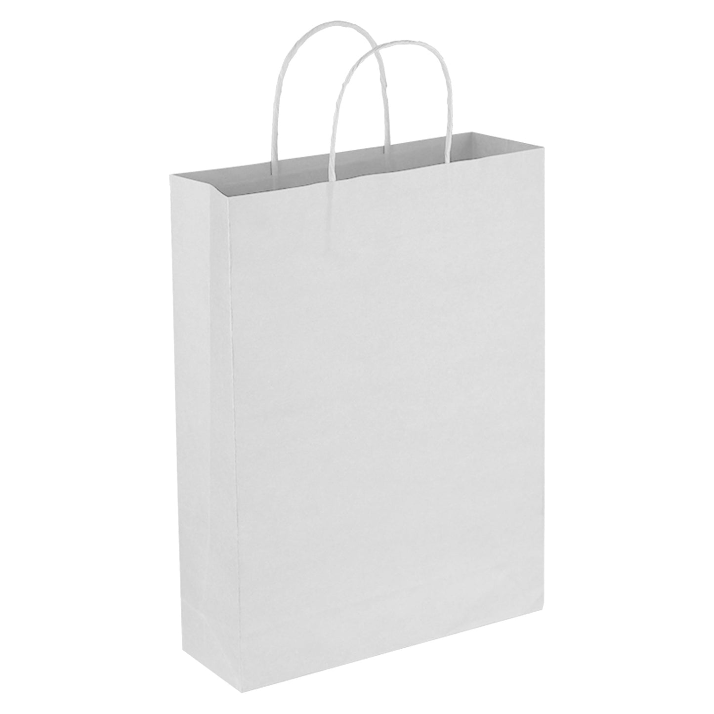 Paper Trade Show Bag - Unbranded (Plain)